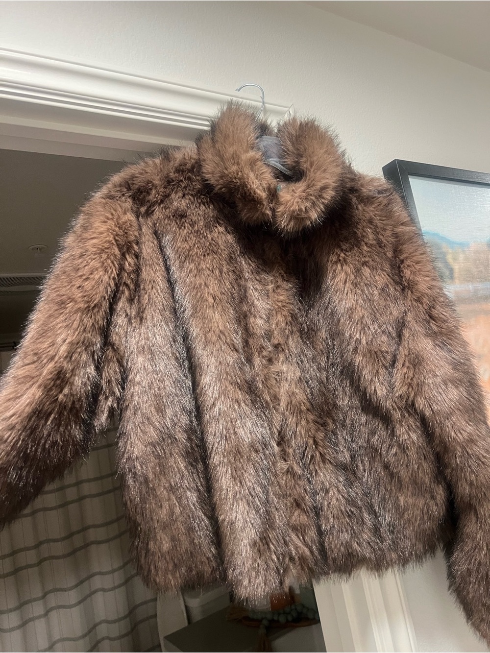 wild fable Brown Faux Fur Teddy Jacket